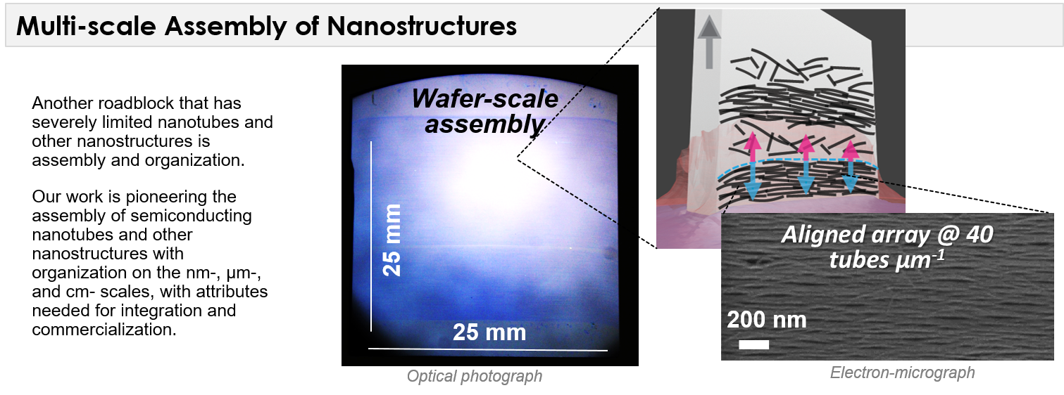 Nanotube alignment and organization